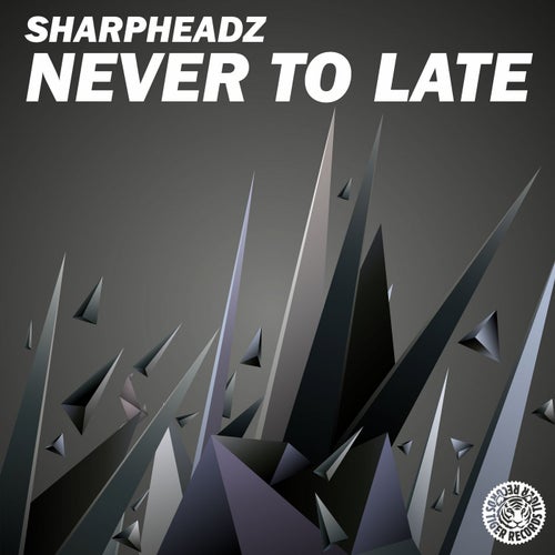 Never To Late
