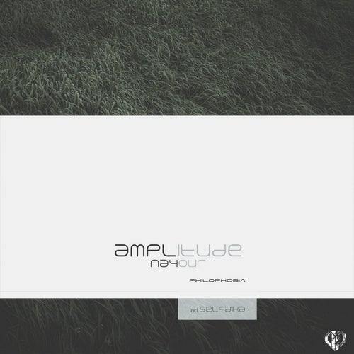 Amplitude