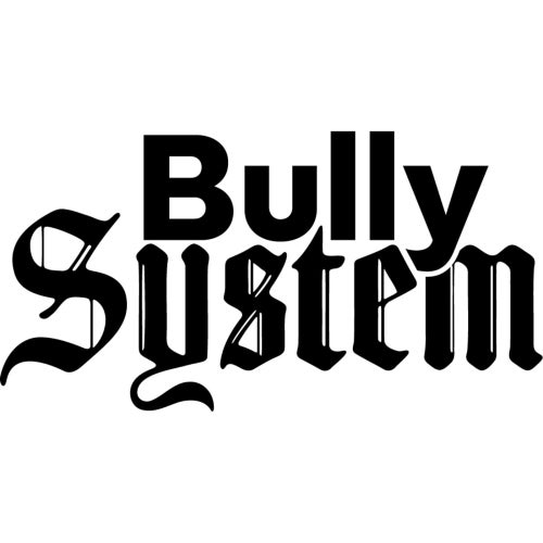 Bully System