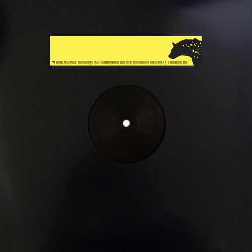 Cover art for Incorrect Transit EP