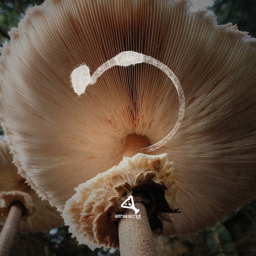 Volcanic Archipelago EP