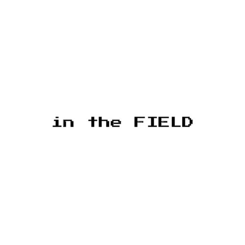 in the FIELD