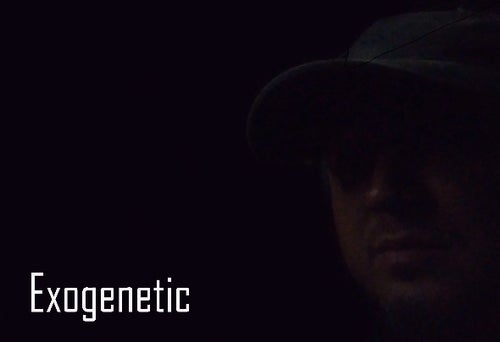 Exogenetic