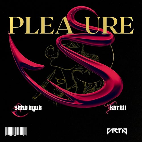 Pleasure (Extended Mix)