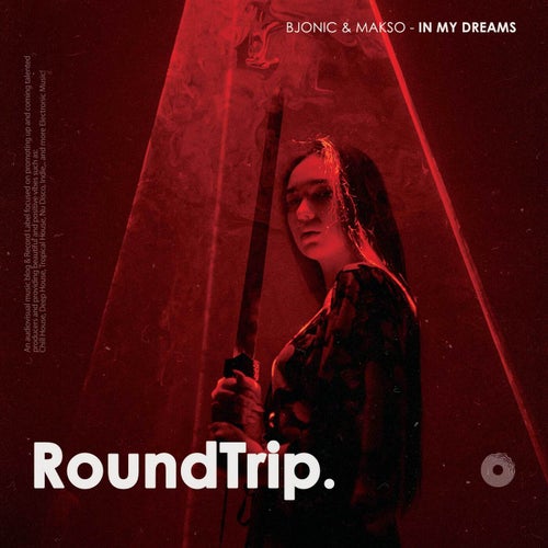  Bjonic, Makso & Roundtrip.Music - In My Dreams (2023) 