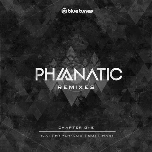 The Remixes