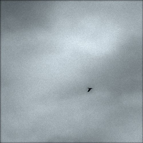 The Silent Watcher