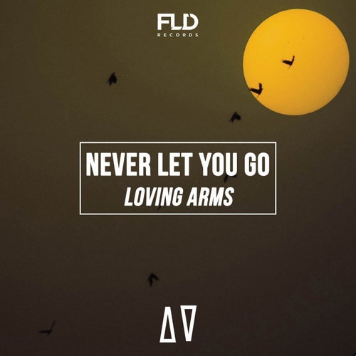 Never Let You Go