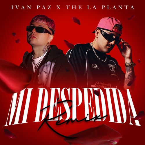Mi Despedida (Remix)