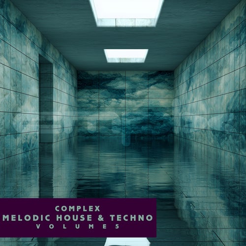 Complex Melodic House and Techno, Vol. 5