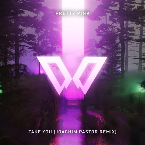 Take You (Joachim Pastor Remix)