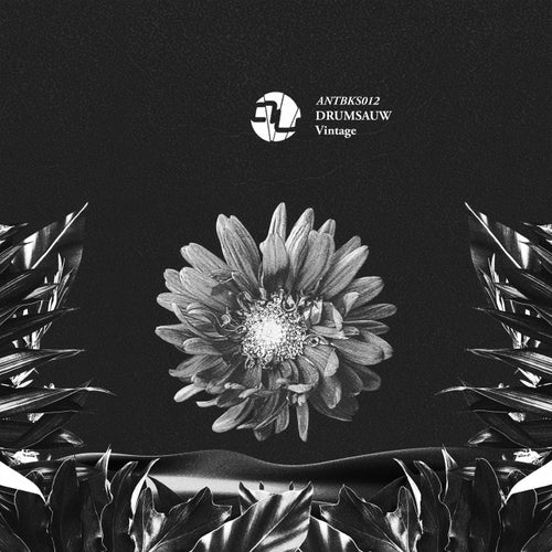 Cover art for Vintage