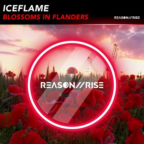  IceFlame - Blossoms In Flanders (2024) 