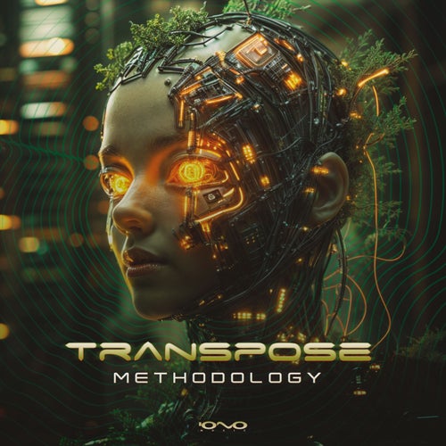  Transpose - Methodology (2025) 