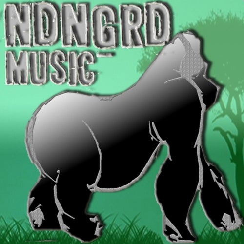 NDNGRD Music