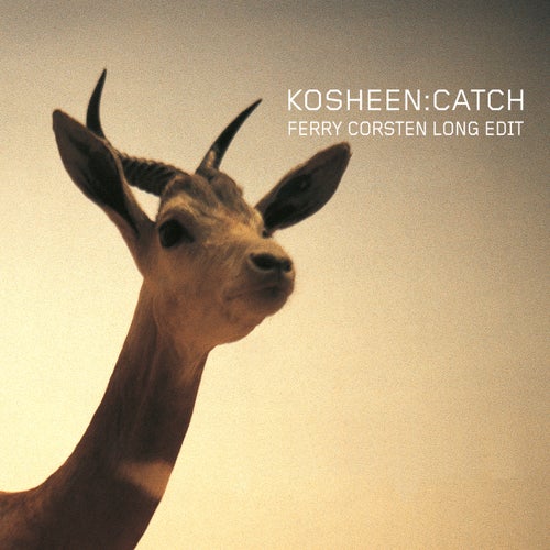 Catch (Ferry Corsten Long Edit)