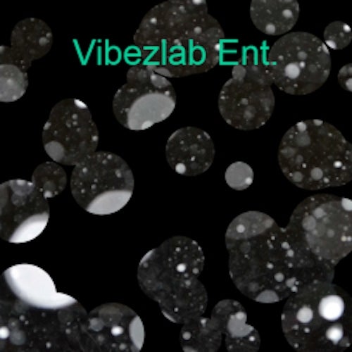 Vibezlab Ent.