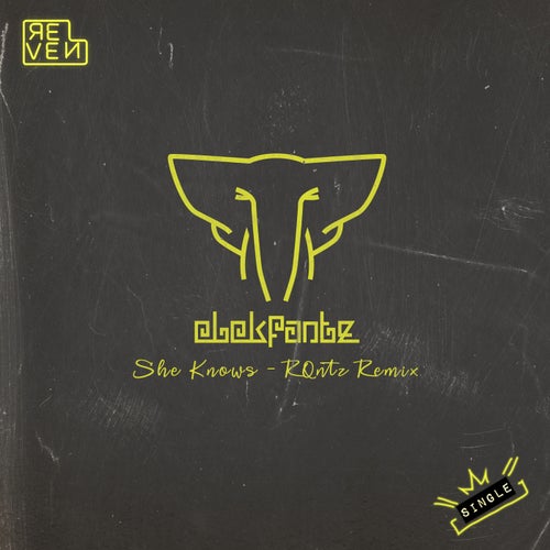 She Knows (RQntz Extended Remix)