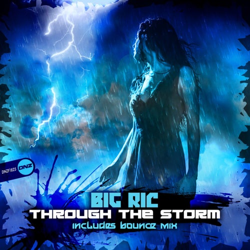  Big Ric - Through The Storm (2024) 