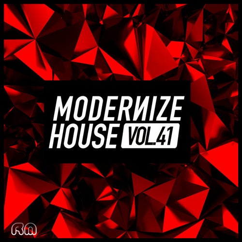 Modernize House Vol. 41
