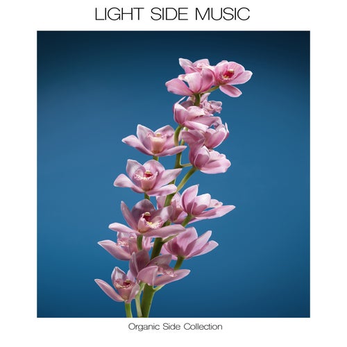 Organic Side Collection [LSM65]