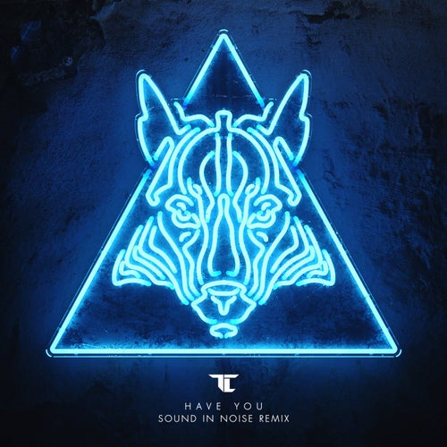 Have You (Sound in Noise Remix)