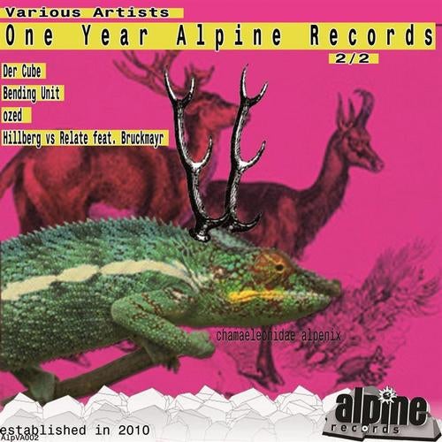 One Year Alpine Records 2_2