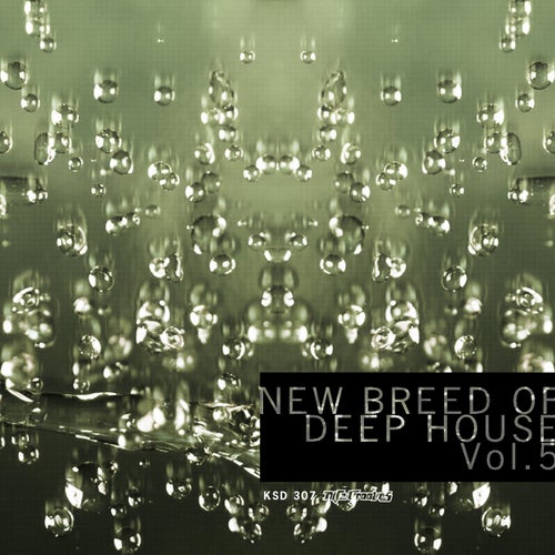 Deep House Dive, Vol.05 (2025) - Nite Grooves