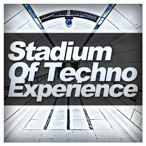 Stadium Of Techno Experience