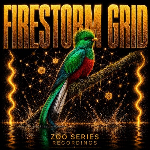 Firestorm Grid