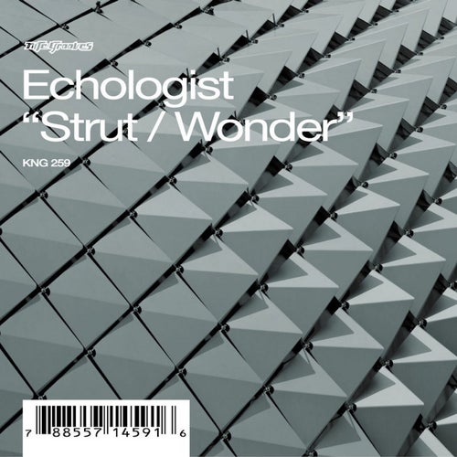 Strut / Wonder