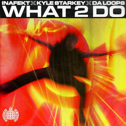 What 2 Do (Extended)