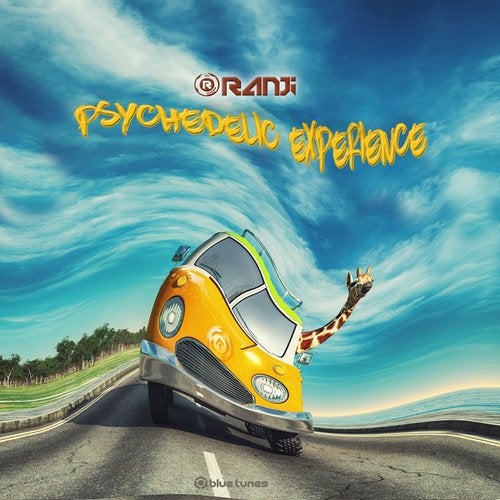 Cover art for Psychedelic Experience