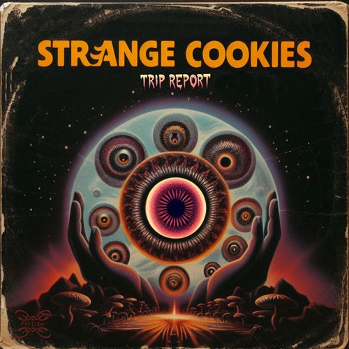  Strange Cookies - Trip Report (2024) 
