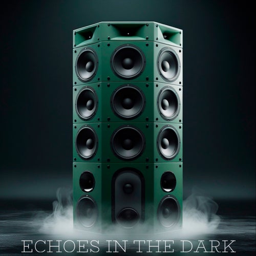 Echoes in the Dark