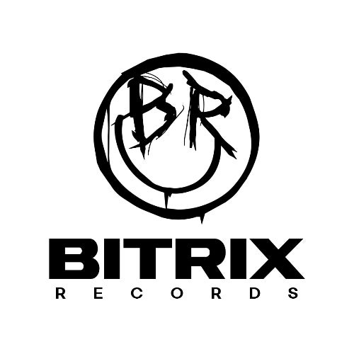 BITRIX RECORDS