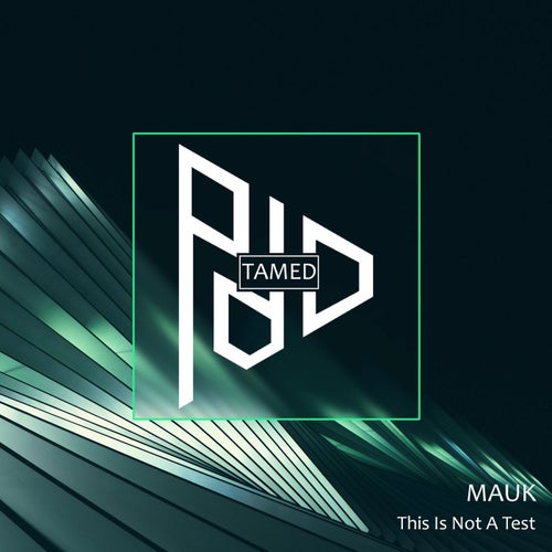 This Is Not A Test EP