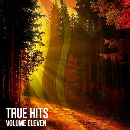 True Hits, Vol. 11