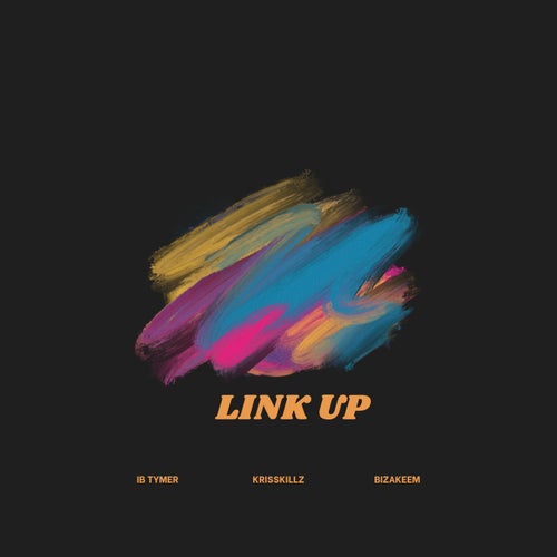 Link Up (feat. KrissKillz & Bizakeem)