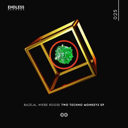 Cover art for Two Techno Monkeys EP