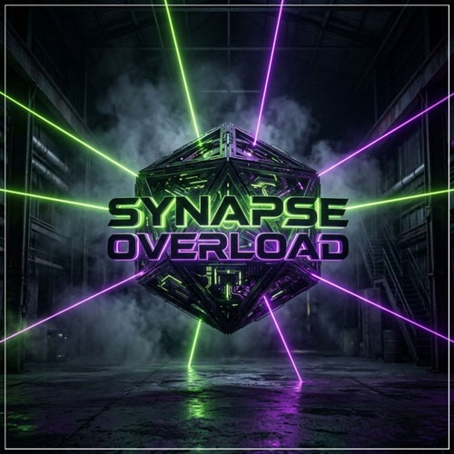 SYNAPSE OVERLOAD