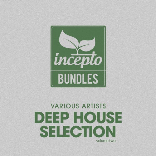 Deep House Selection, Vol 2