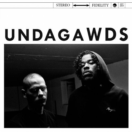 Cover art for Undagawds (The Director's Cut)