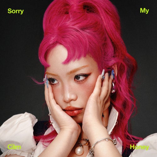 Sorry My Honey