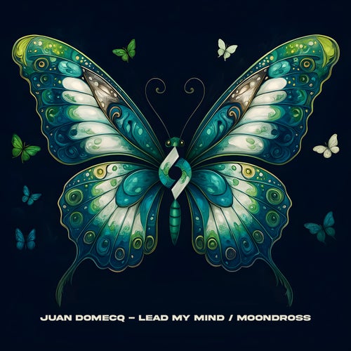 Lead My Mind / Moondross