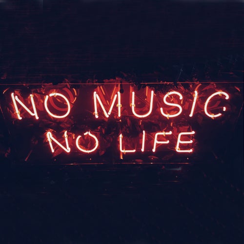 NO MUSIC NO LIFE