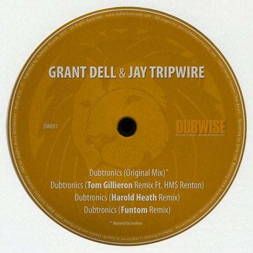 Cover art for Dubtronics