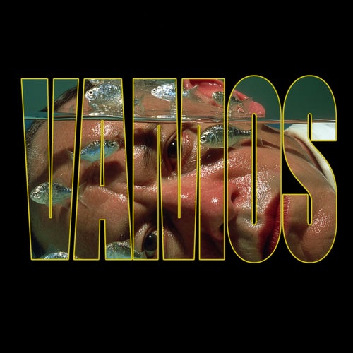 VAMOS
