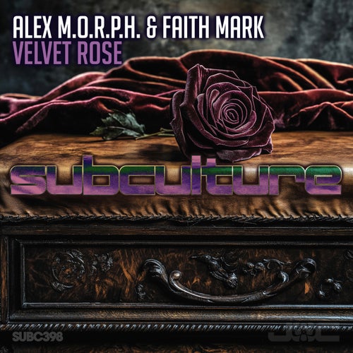 Velvet Rose