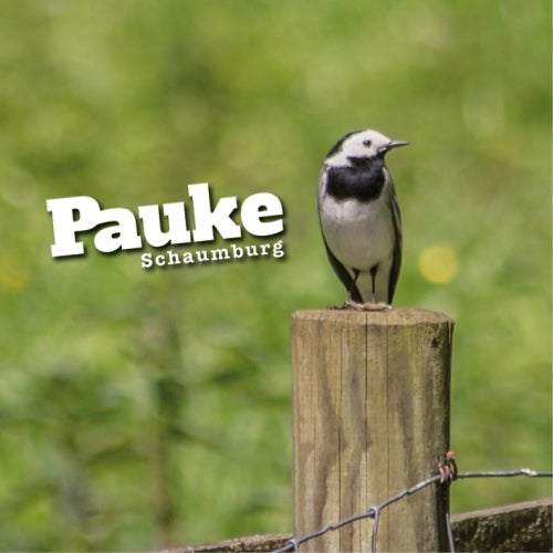 Pauke May Selections